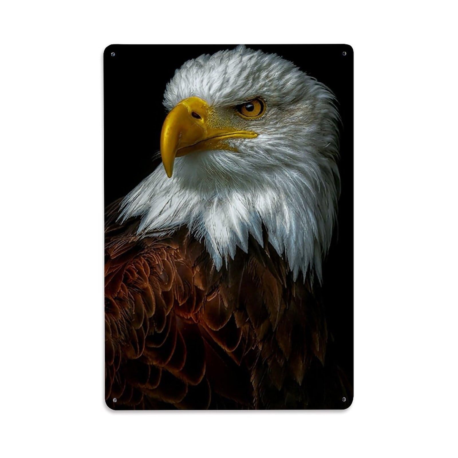 Vintage Nature Wildlife American National Bird Bald Eagle Metal Tin Sign Plaque Wall Decor for Cafe, Man Cave, Club Bar, Office, Home Garden Round Metal Poster 8x12Inch