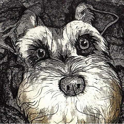 Bearded Friend by printmaker Caroline Barker 1 x Greetings Card Cover