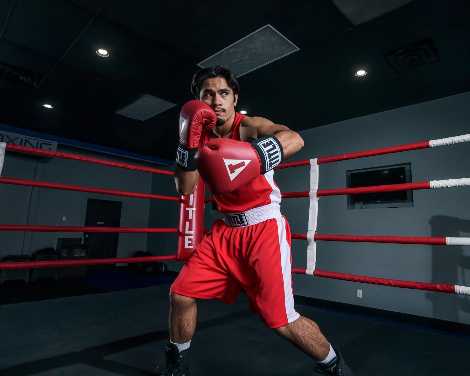 TITLE Boxing USA Boxing Competition Gloves - Elastic