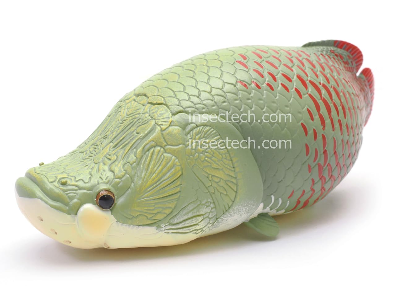 Amazon.co.jp: 【動物の惑星】ピラルク フィギュア完成品