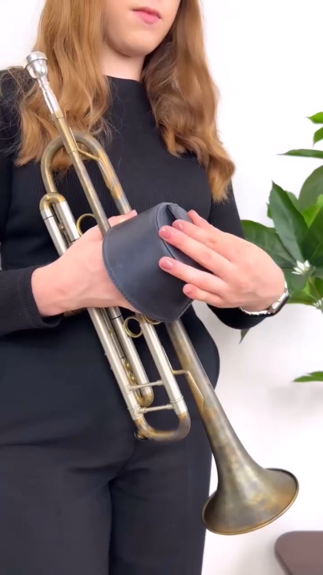 Amazon.com: Trumpet Plunger magnetic mute with handle, lightweight