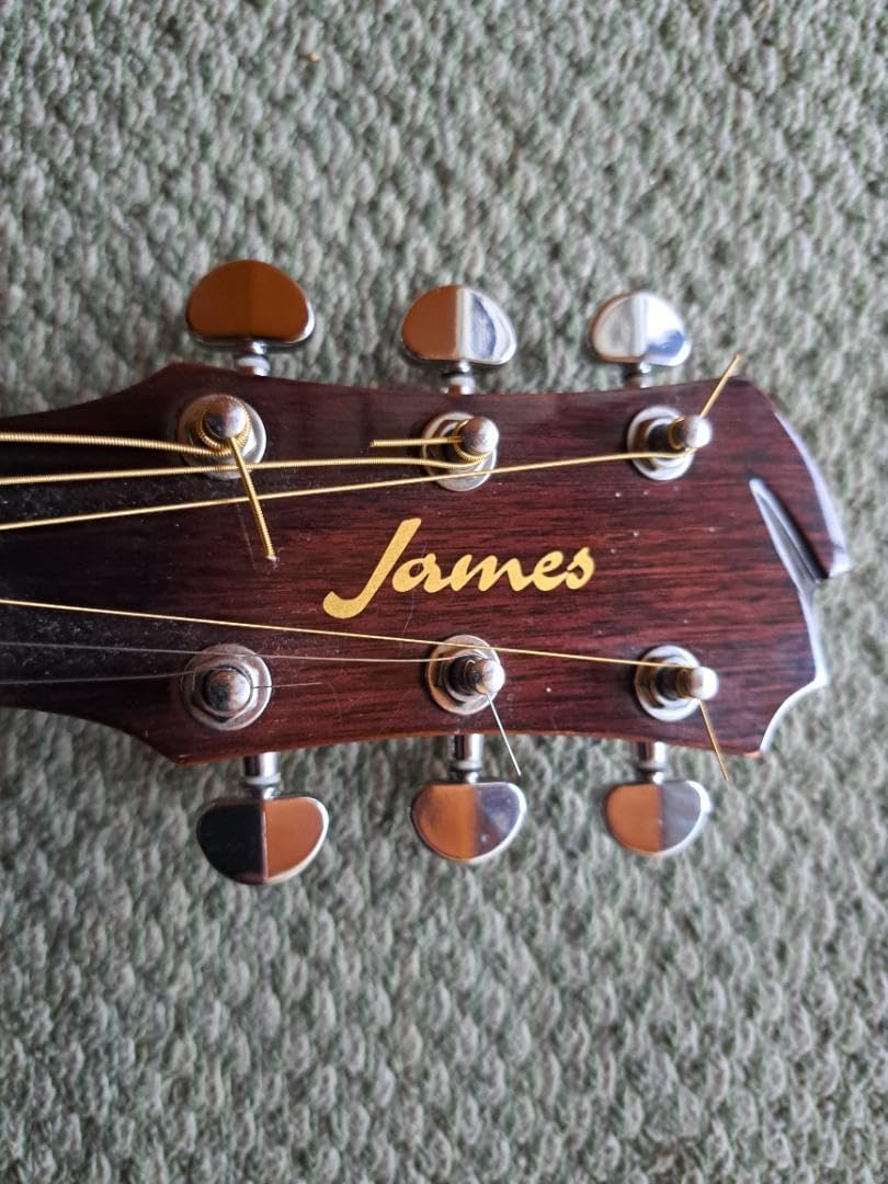 エレアコ】 James J-350C NAT フィッシュマン ピックアップ搭載