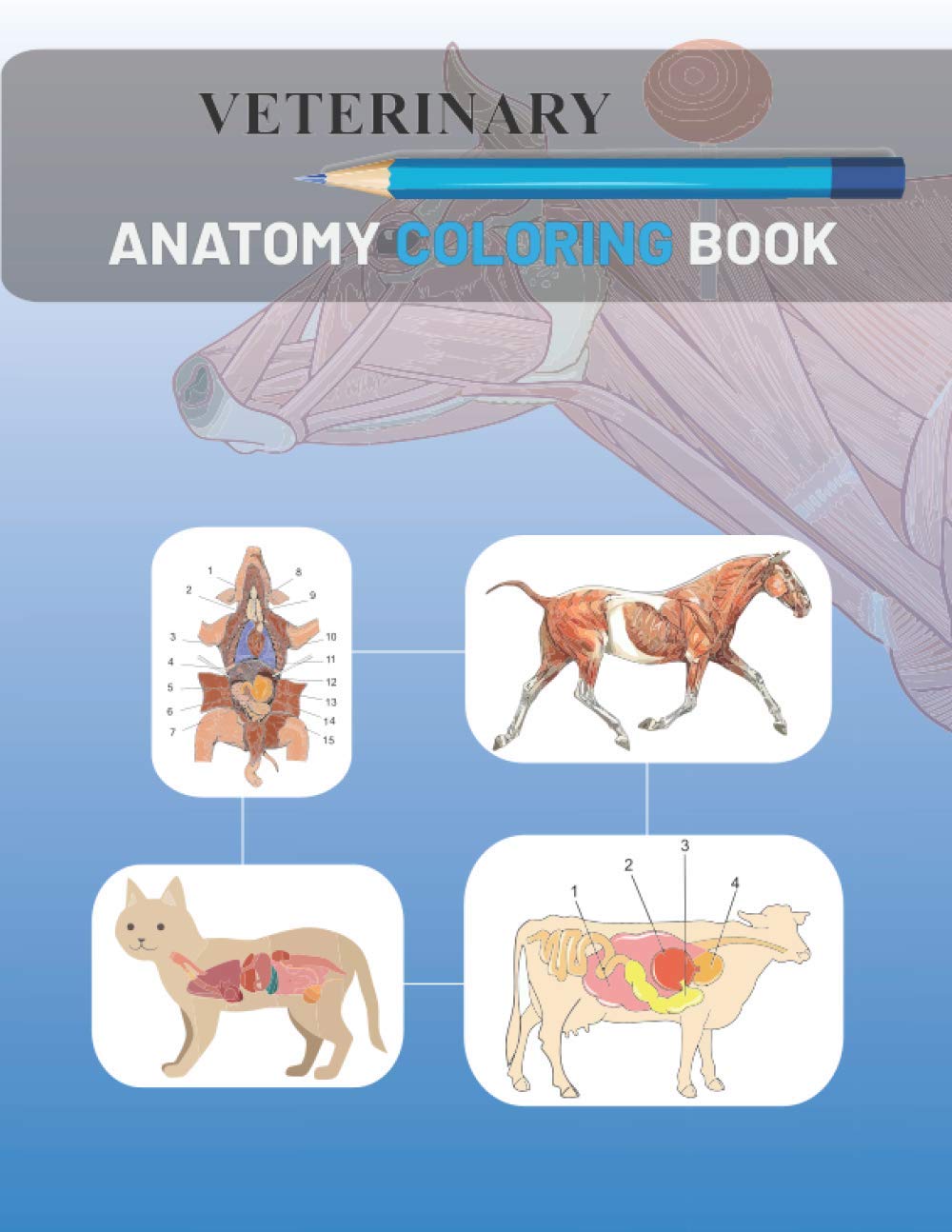 Buy Veterinary Anatomy Coloring Book Veterinary Coloring Book