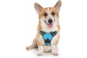 rabbitgoo Buzz Lightyear Dog Harness: Adventure Awaits!