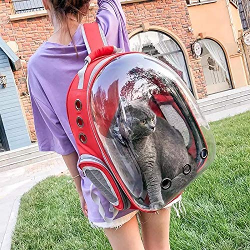 Woofy Pet Transparent Cat Carrier Backpack Puppy Kitty Breathable Carriers for Travel Capsule Backpack - Red 4