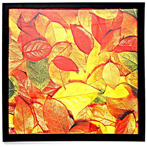 13x13 Picture Frame for Wall, Display Pictures 13x13 Square Record Album Frame, Wall Hanging Photo Frame, Black, 1 Pack