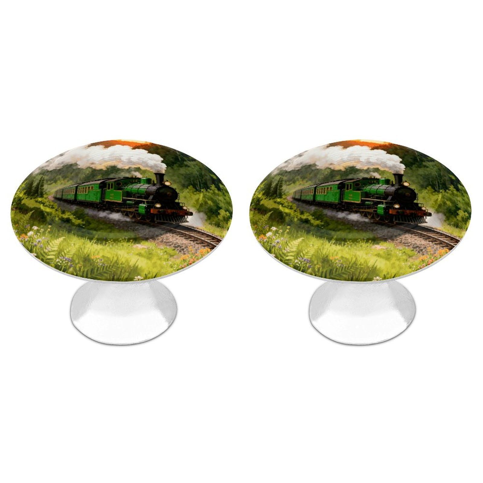 DWVTSLH Forest Steam Car Cabinet Handles 2 Pack Stainless Steel Kitchen Drawer Pulls with Installation Screws Round Dresser Drawer Knobs 1.1 Inch Modern Cabinet Hardware Door Handles