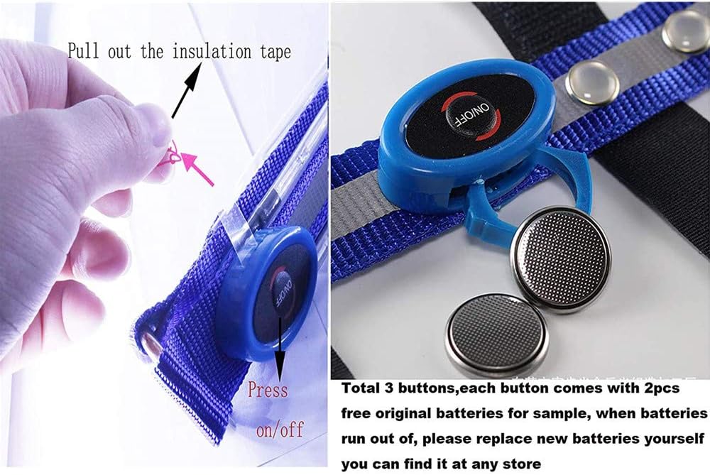 BININBOX LED Horse Breastplate Collar Equestrian Riding Bridle Halter Safety Light Horses Neck Belt Equipment Horsing Accessory Horseback (Blue) : Sports & Outdoors