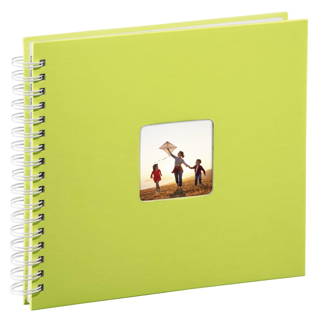 Ehime Paperwork 8BH-734 Gokura Literature Cover, Unryu, 8 Cuts, 50 Sheets, Wakasasa