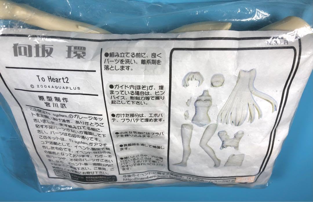 ☆向坂 環～着替え中～ T's system(宮川 武)【ガレージキット】 Amazon.co.jp: 向坂 環着替え中 T's system(宮川 武)ガレージ