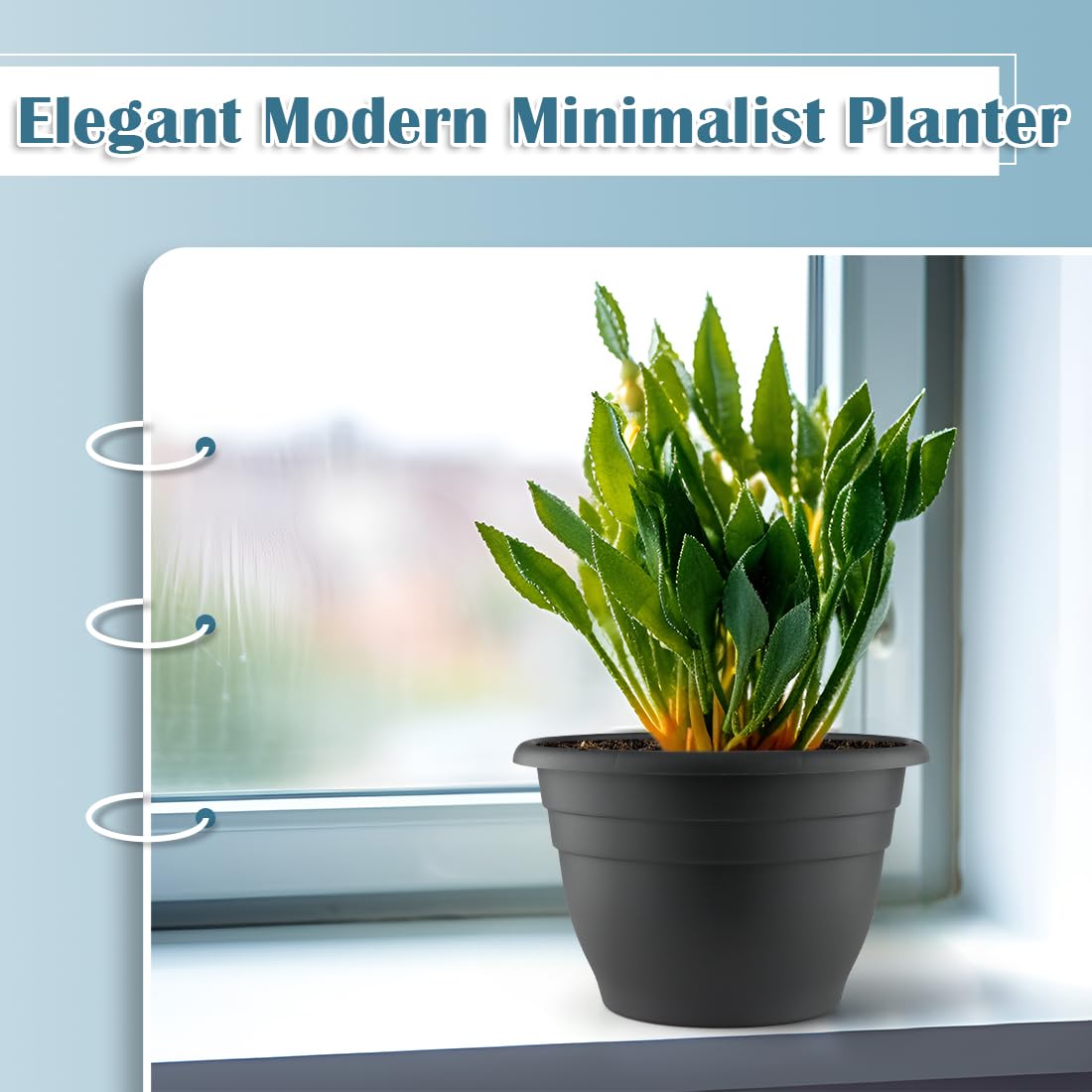 RooTrimmer 3 Pack 11 Inch Plant Pots with Drainage Hole and Plug