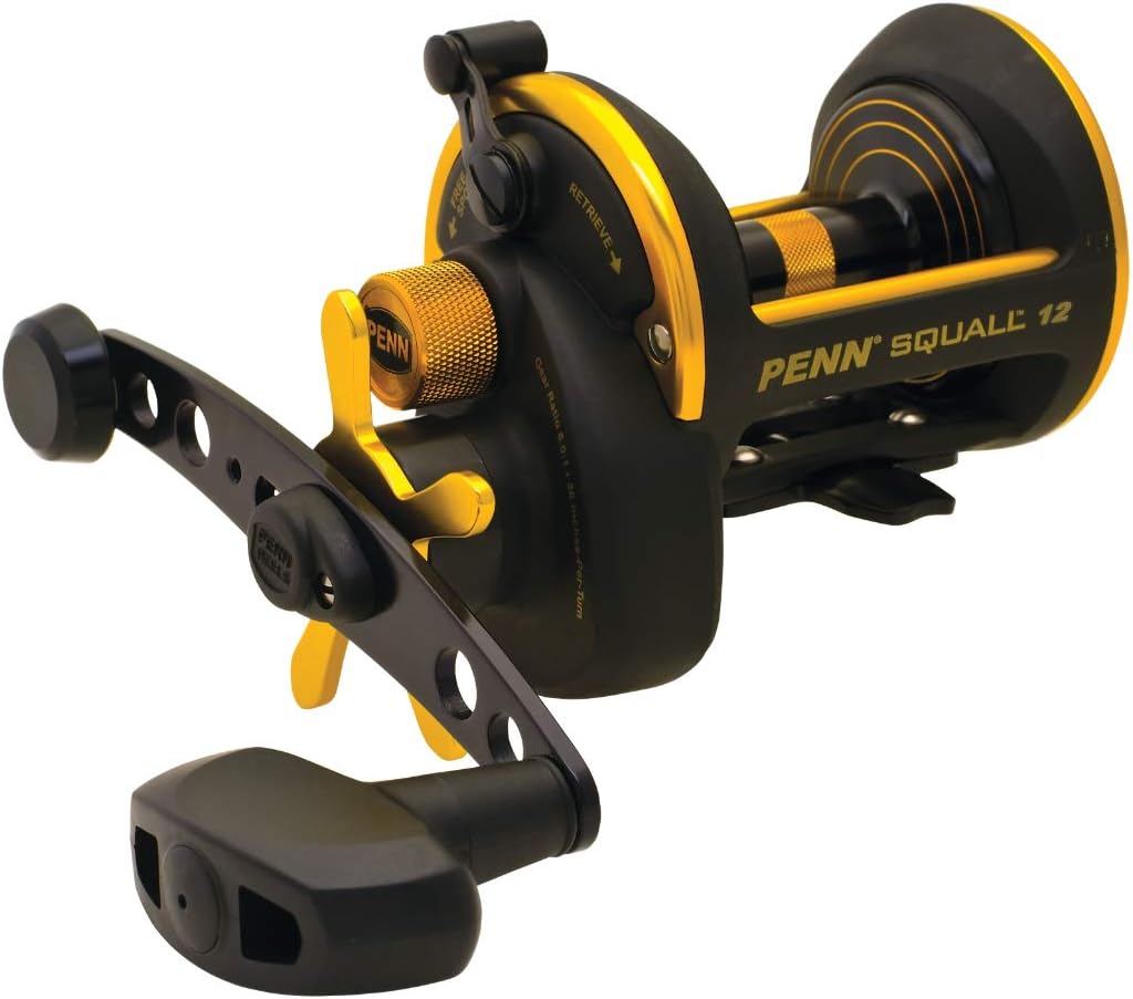 Penn Squall Star Drag Conventional Reel