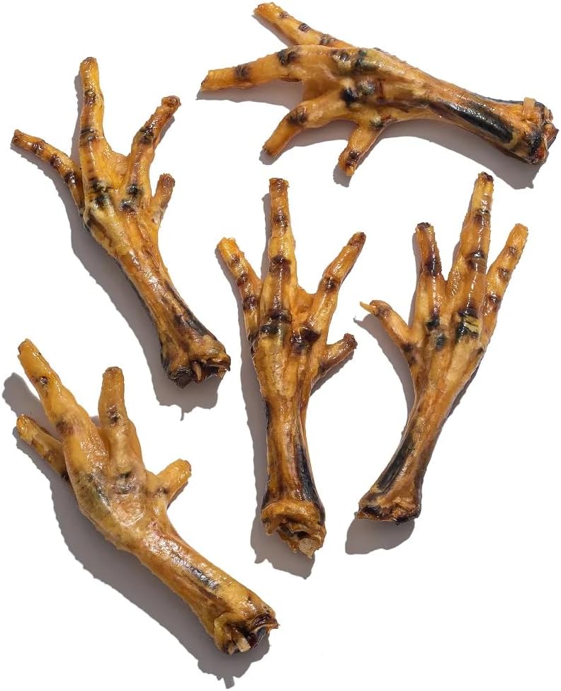 Pé De Frango Pe de Galinha Saboroso Petisco Snack Para Cães Petisco Para Cachorros - Jack & Pup