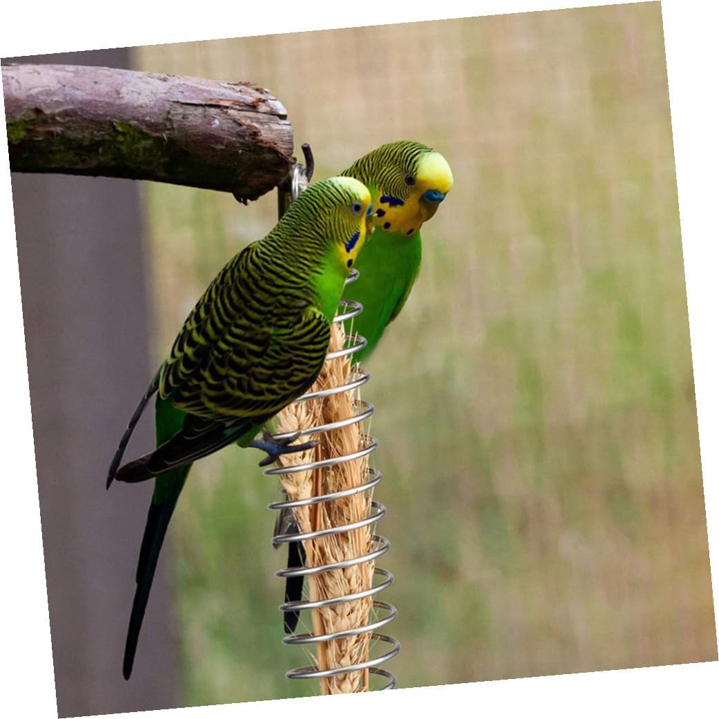GALPADA Stainless Steel Parrot Feeder Bird Food Holder Mimic Feeding Device with Hanging Hooks 4pcs Set for Cage Foraging and Fruit Feeding Supplies