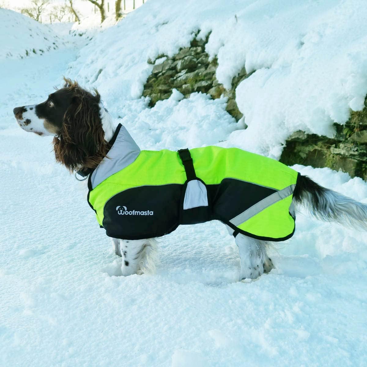 Woofmasta Hi Vis Dog Coat Reflective Waterproof Breathable for All Dogs
