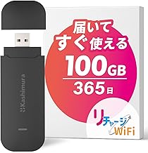【リチャージWiFi】Docomo回線 100ギガ付き 1年間使える USB型 バッテリーレス 車載 Wi-Fi モバイルルーター ポケット WiFi 契約返却無し 月額費用無し 簡単ギガチャージ リチャージSIM【KAS-100GB/365】