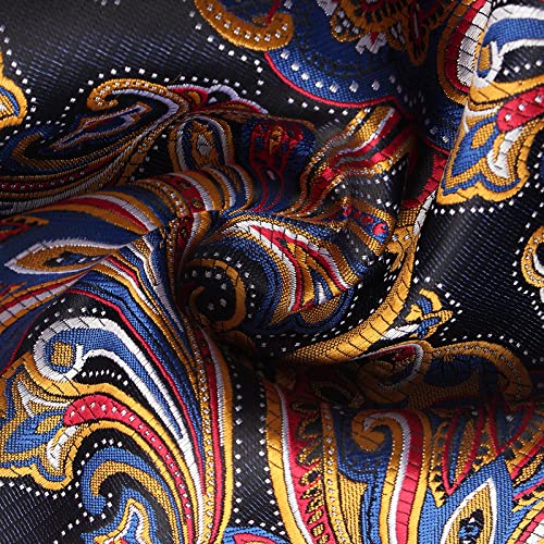 Image of Paisley Floral Mens Tie Formal Necktie Pocket Squares Ties Clips Cufflinks Classic for Men Set