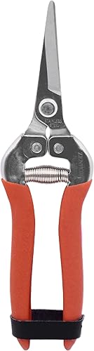 Vista 2 de Zenport Cizalla de cosecha H300SC, hoja curvada larga del acero inoxidable