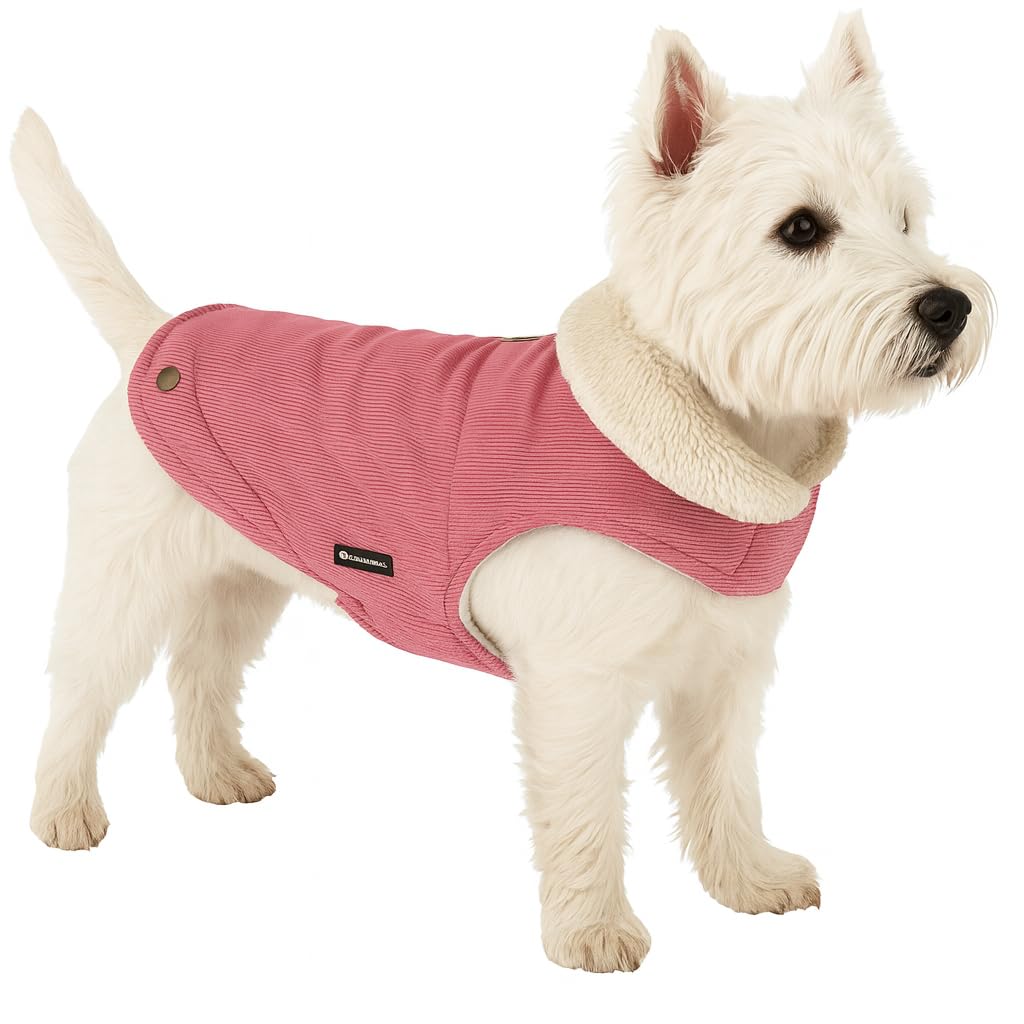 Manteau Endor rose 25cm veste hiver chaud petit chien chiot protecteur