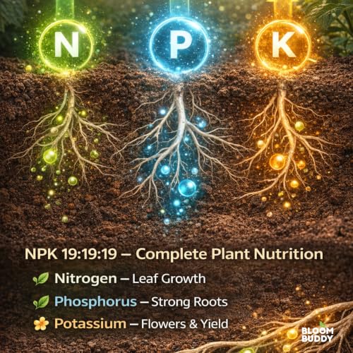 Image of BloomBuddy NPK 19:19:19 Fertilizer for Plants | Water Soluble All-Purpose Plant Food for Growth, Flowering & Fruiting | Indoor & Garden Plants | 400g Each (Pack of 2) | Total 800g