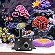 Retoo Mini Wasserpumpe 12V, Submersible Aquariumpumpe 240L/H 4.8W, Brushless Klein Tauchpumpe, Springbrunnenpumpe, Kreiselpumpe, Düsendurchmesser 8 mm, Ohne Stecker,
