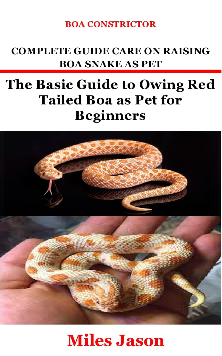 Buy BOA CONSTRICTOR COMPLETE GUIDE CARE ON RAISING BOA SNAKE AS PET