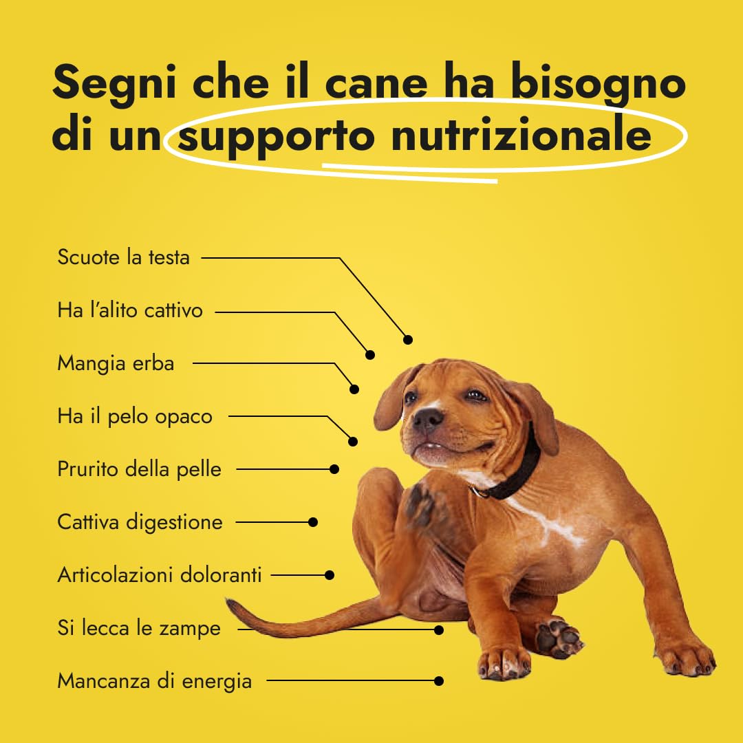 Canine Booster – Integratore per Cani Adulti con Cozza Verde, Curcuma e Probiotici per Articolazioni, Digestione, Pelle, Pelo e Sistema Immunitario (1x 150 g)