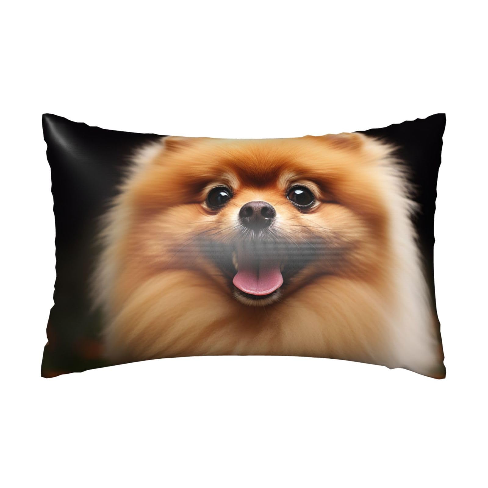 Satin Pillowcase for Hair and Skin, Pomeranian Pillow Case Queen Size 20x30 Inches, Cooling Silky Pillowcases with Zipper Ultra Smooth and Soft Pillow Cover for Sleeping
