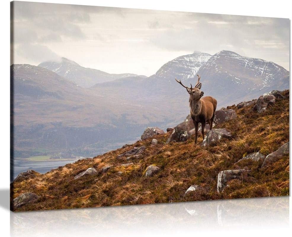 Wild Stag Scottish Highlands Canvas Wall Art Picture Print (30X20)
