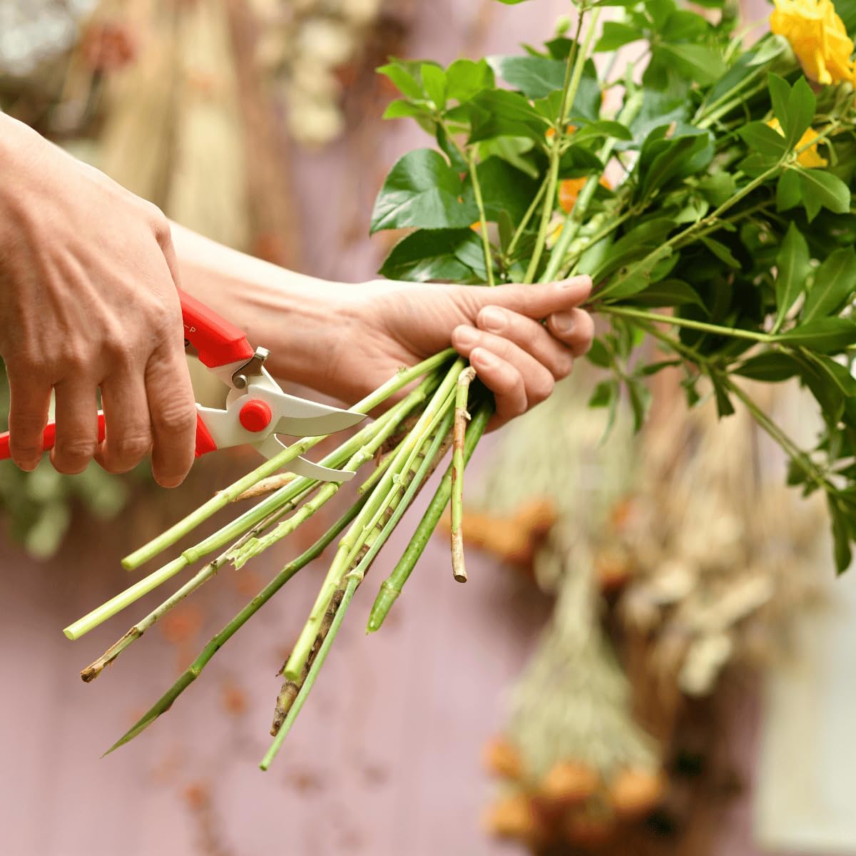 Amazon.com : Japanese Hand Pruners - Sakagen Hand Creation, Ultra