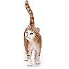 Product Photo 8