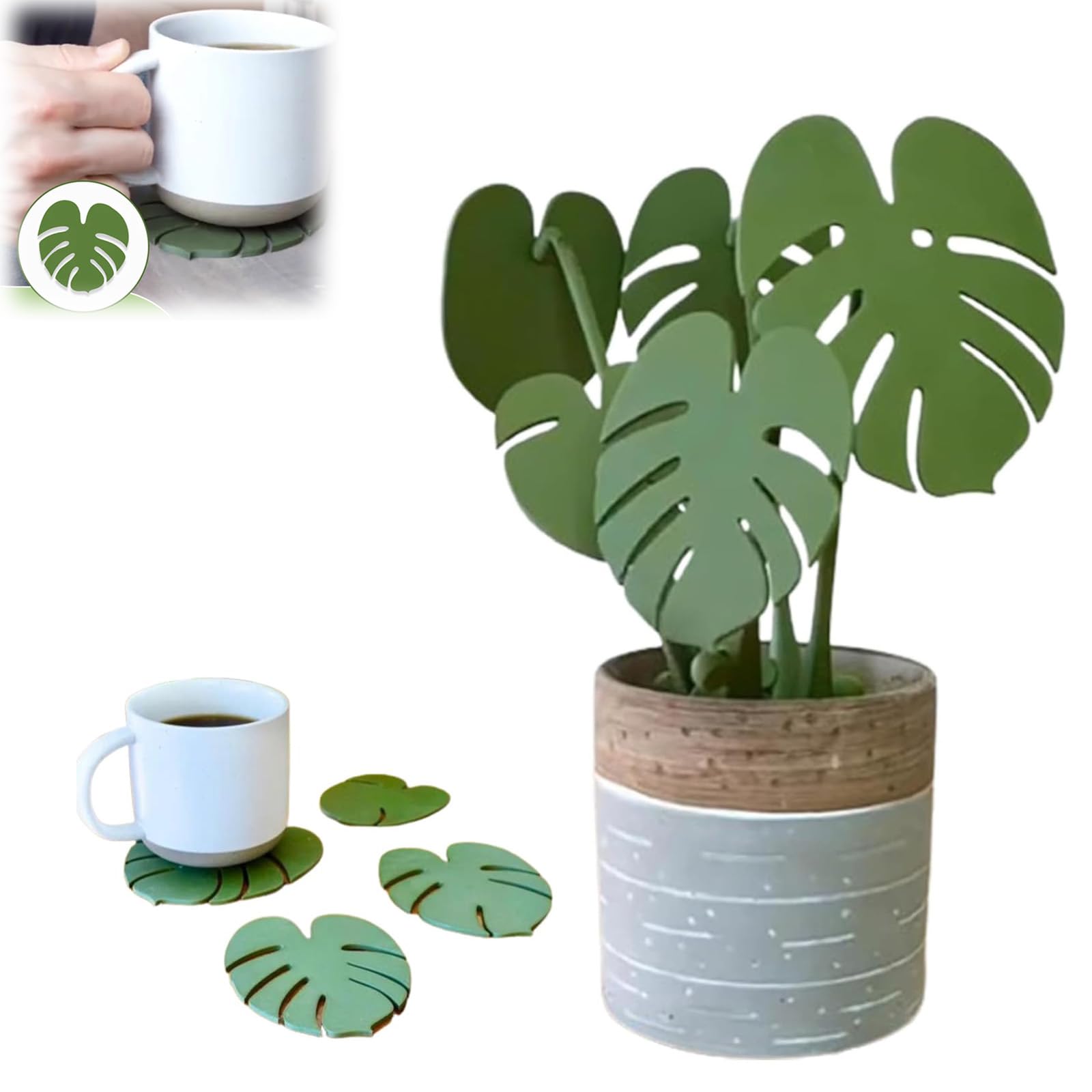 philodendron pastazanum silver Philodendron pastazanum 'Silver' main image 1