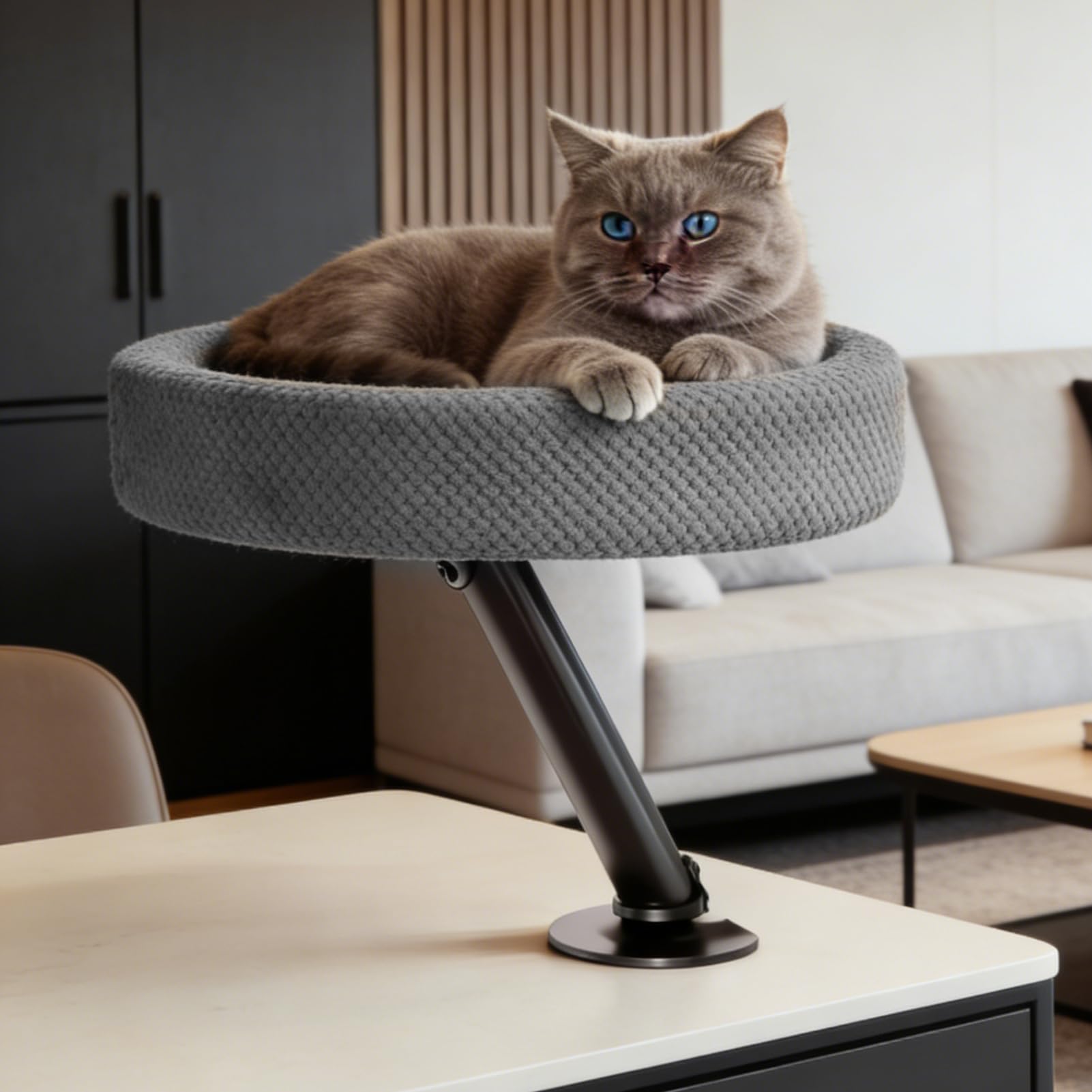 Cama De Escritorio Para Gatos De Sueño Con Para Gatitos | Camas de Escritorio para Mascotas Para En Interiores Exteriores Balcón Invierno Viajes Hogar Y Dormitorio