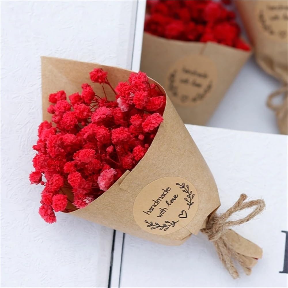 1 Mini Bouquet de Fleurs séchées, Bouquet de Fleurs séchées Artisanales à Faire soi-même, Petites Plantes séchées décoratives 11 x 7 cm