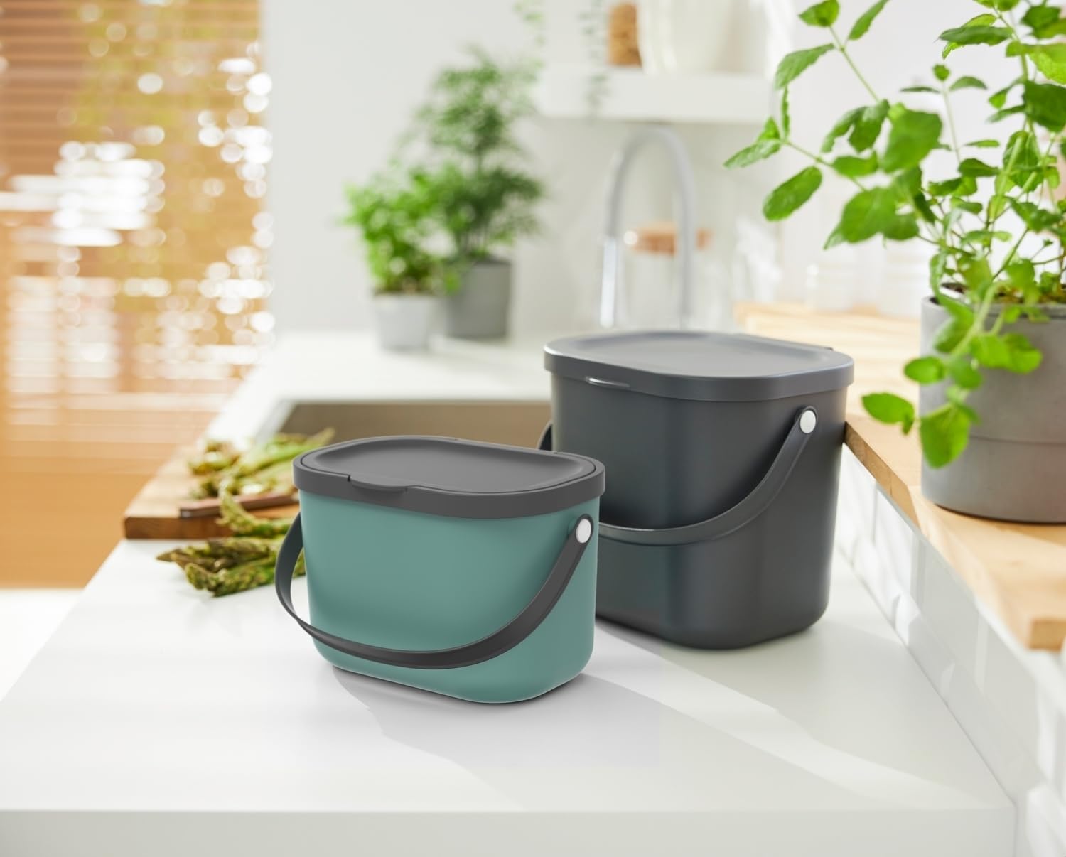 Rotho Albula - Pattumiera biologica con coperchio, 3,2 l, per cucina