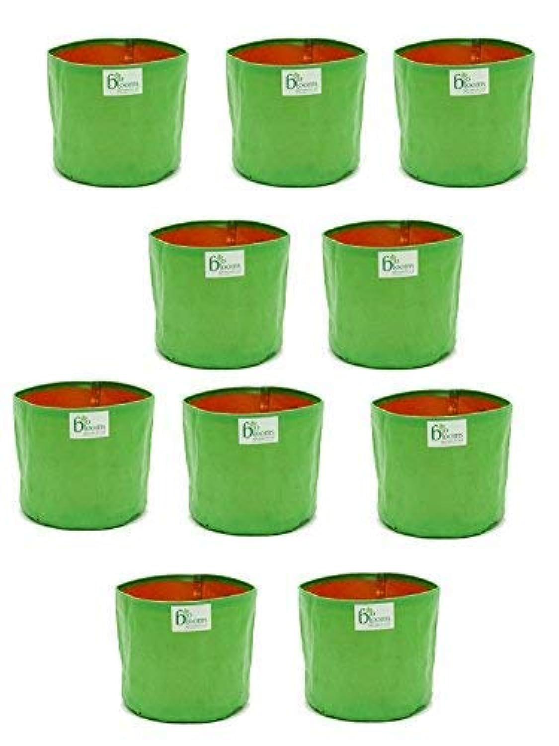 See full amazon price history chart for Bio Blooms Agro India Pvt. Ltd. 9X12Inch HDPE Plant Grow Bags for Terrace Gardening | Pack of 10| Green & Orange Color| Outdoor Use| Bio Blooms Agro India Pvt. Ltd. 9X12Inch HDPE Plant Grow Bags for Terrace Gardening | Pack of 10| Green & Orange Color| Outdoor Use| (B07Z6JHZ7B) Amazon Price History, Amazon Price Tracker