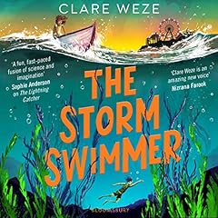The Storm Swimmer cover art