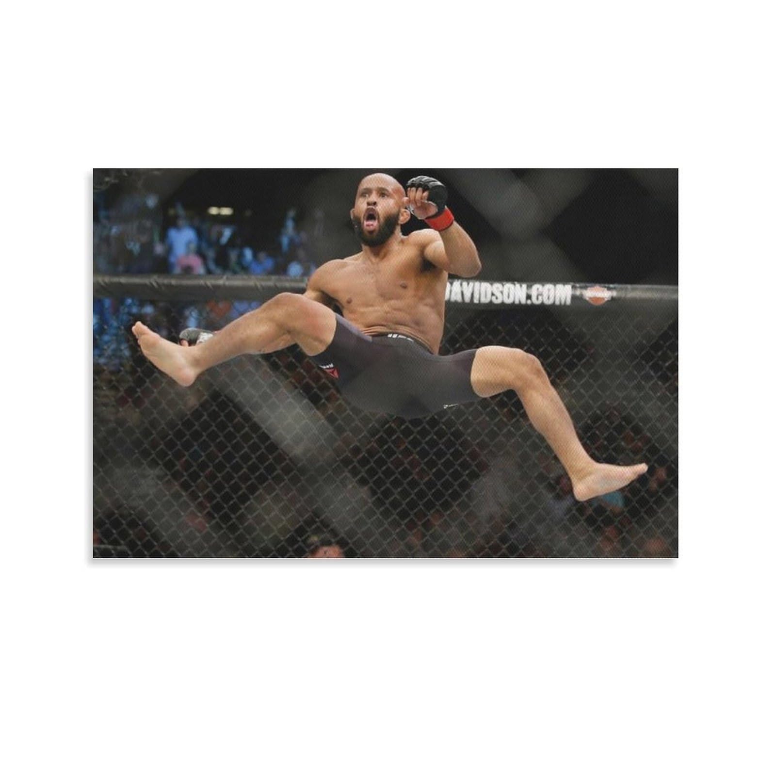 FCOIN Demetrious Johnson Canvas Poster Picture Print Canvas Poster Wall Paint Art Posters Decor Modern Home Artworks 16x24inch(40x60cm)