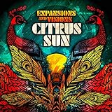  Expansions and Visions