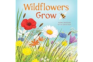 Grow Wildflowers (Little Nature Explorers)