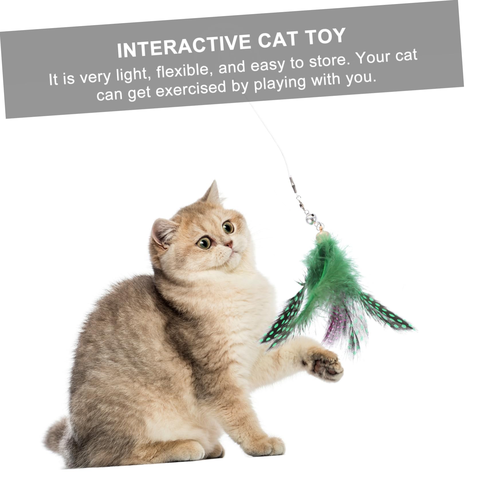 VANZACK 24pièces Kit De Jouets Interactifs pour Chat avec Plume Ensemble De Cannes pour Chat Améliore Interaction Et Exercice
