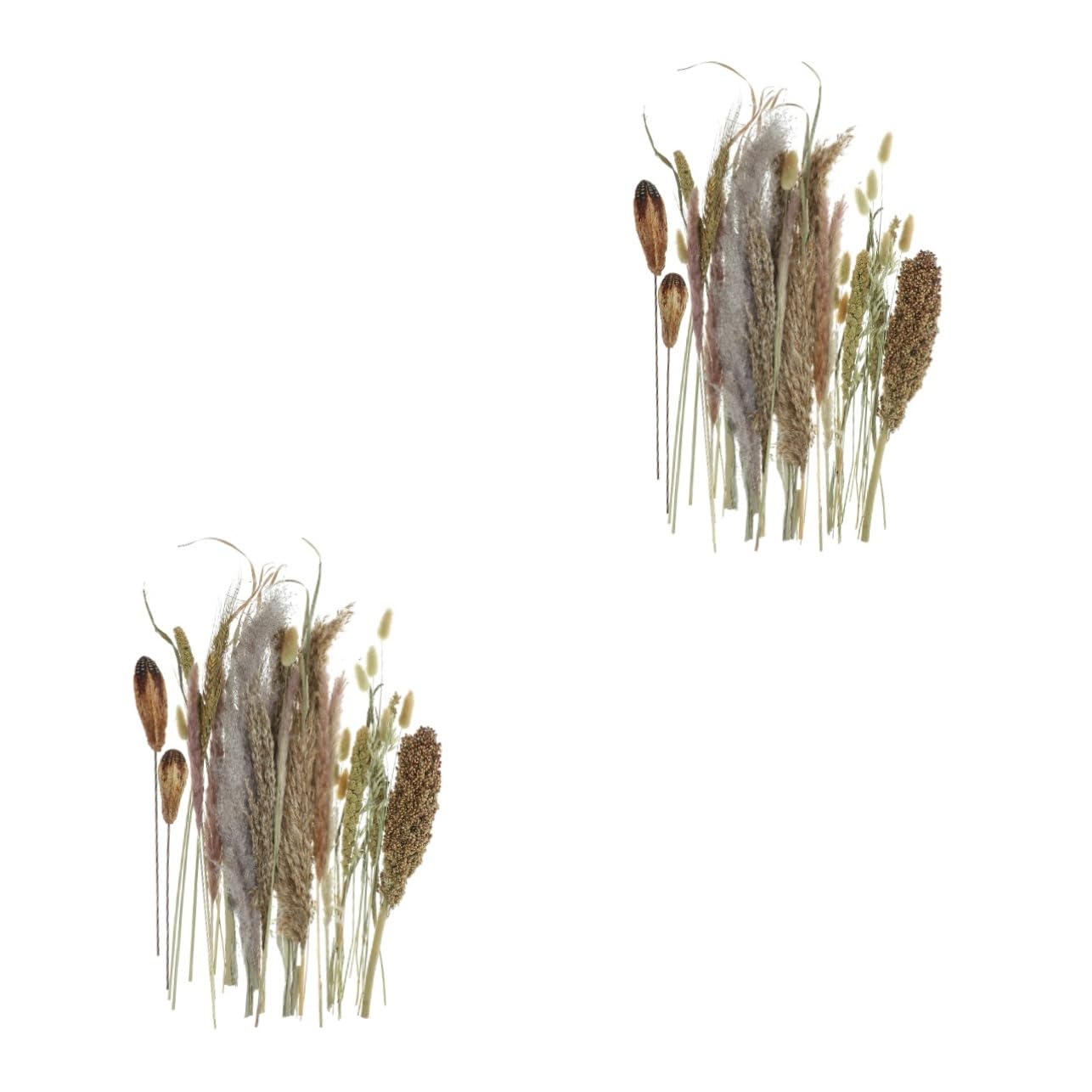 Abaodam 2pezzi Bouquet Di Pampa Essiccati Naturali Per Decorazioni Domestiche Composizioni Floreali Dried Broomcorn Per Matrimoni e Eventi Adatti Stili Boho e Rustici