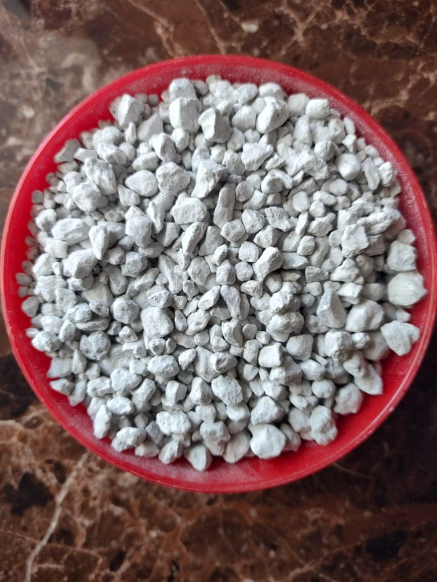 Evergreen Pumice Stone for plants | Essential Soil Amendment for Bonsai, Adenium, Cactus & Succulents and Other Plants | Best for Aquarium Filter Media (950 gm) Size 2-10mm(pack of 1) (B0BZYBDK6W) Amazon Price History, Amazon Price Tracker