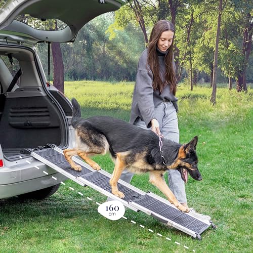 Hunderampe Auto Klappbar- Teleskop Alu Rampe für große Hunde - Stabile Hundetreppe Auto & SUV - rutschfest - Reflektierende Seiten - Hundeleiter Auto - 90kg Belastbarkeit - Befestigungsclip - Schwarz