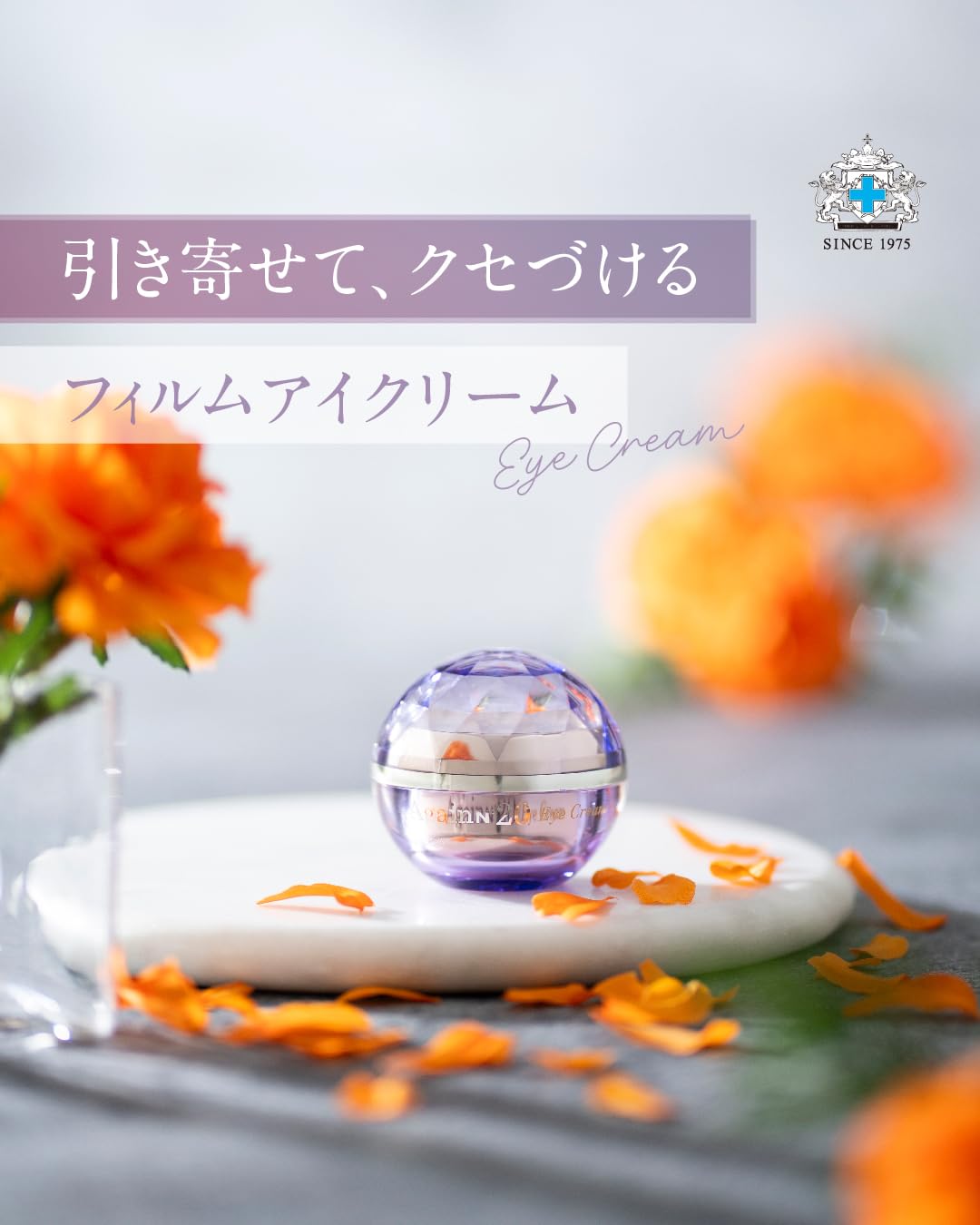 Amazon.co.jp: 日本メディカルシステム アゲインナンバー20 アイ