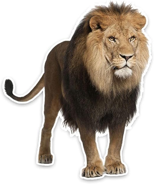 Nice Quality Animal Mighty Lion PVC Car Sticker Decal Graphical