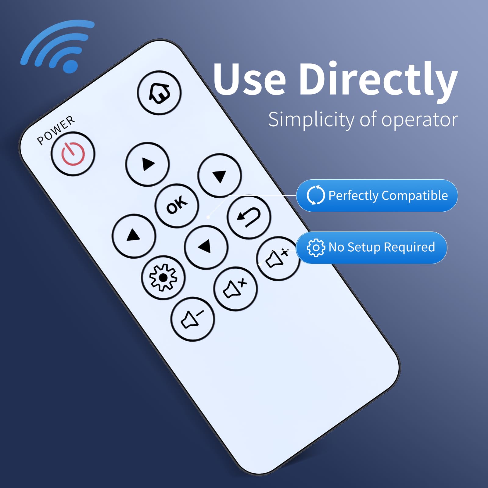 Amazon.com: ZWP Replacement Remote Control fit for ViewSonic M1