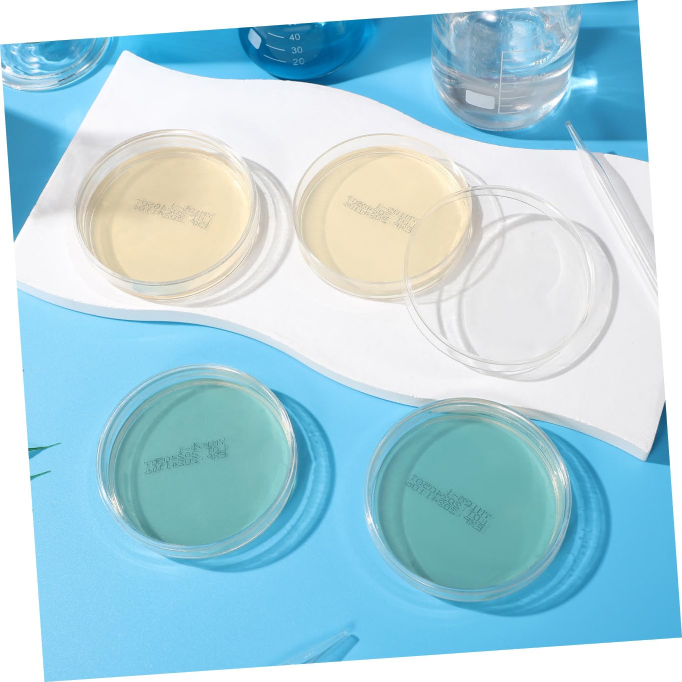 KESYOO 10 Boîtes de Petri Pré-coulées de 7 Cm Contenant de La Gélose, pour Expériences Scientifiques Et de Laboratoire, Microbiologie, Cours de Biologie, 10 Pièces