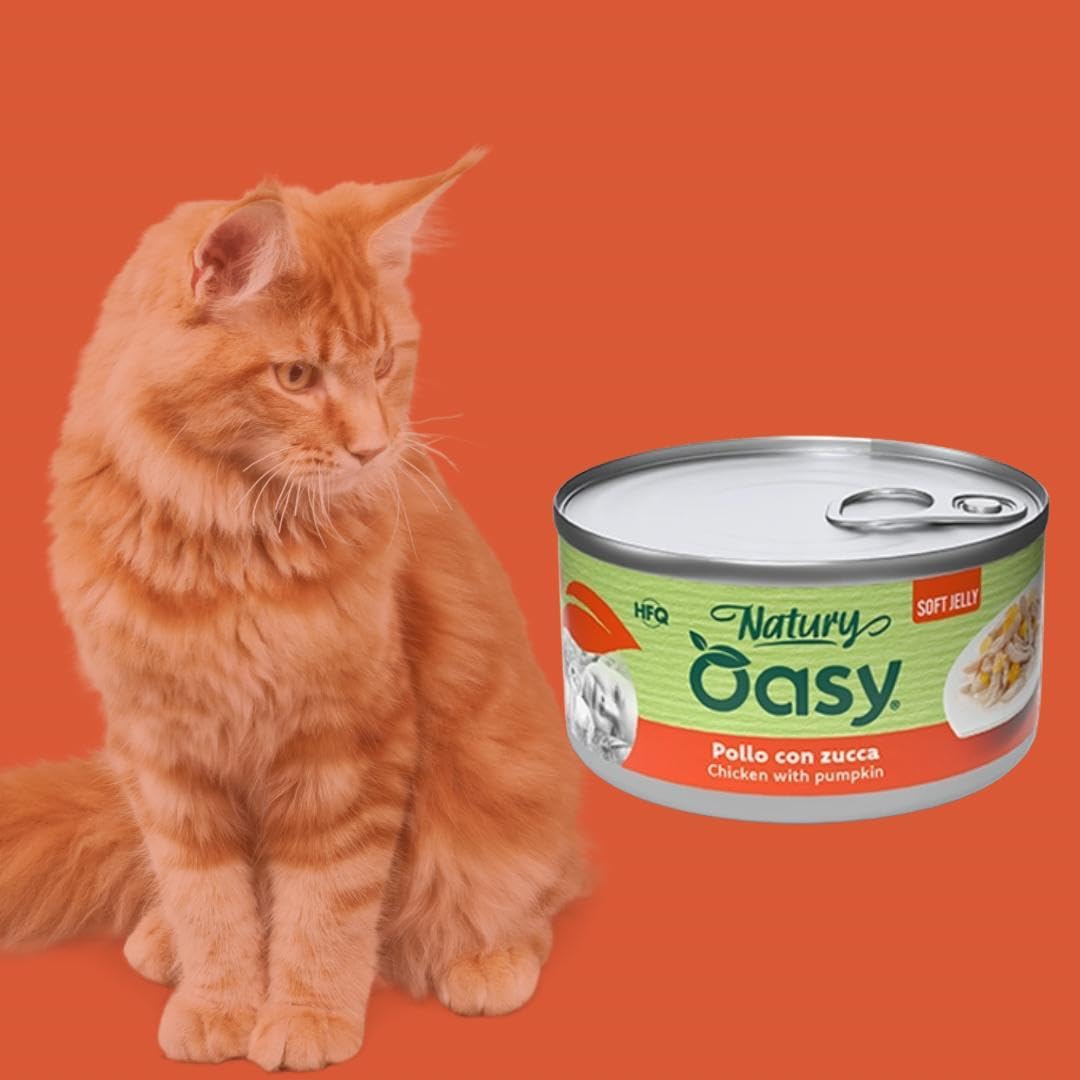 Oasy - Comida húmeda para gatos naturales con sabor a pollo con calabaza, suaves pelusas naturales de Soft Jelly para gatos adultos de todos los tamaños y razas | 24 latas de 85 gramos cada una.