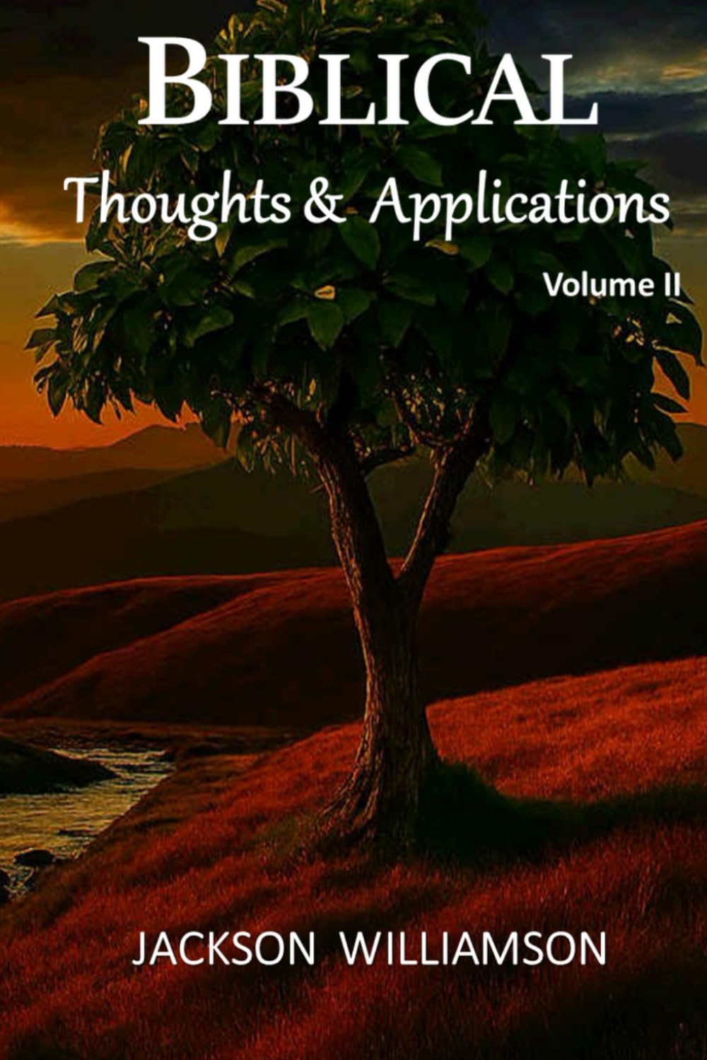 Biblical Thoughts & Applications Volume II